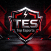 TES电子竞技俱乐部(Top Esports)队徽